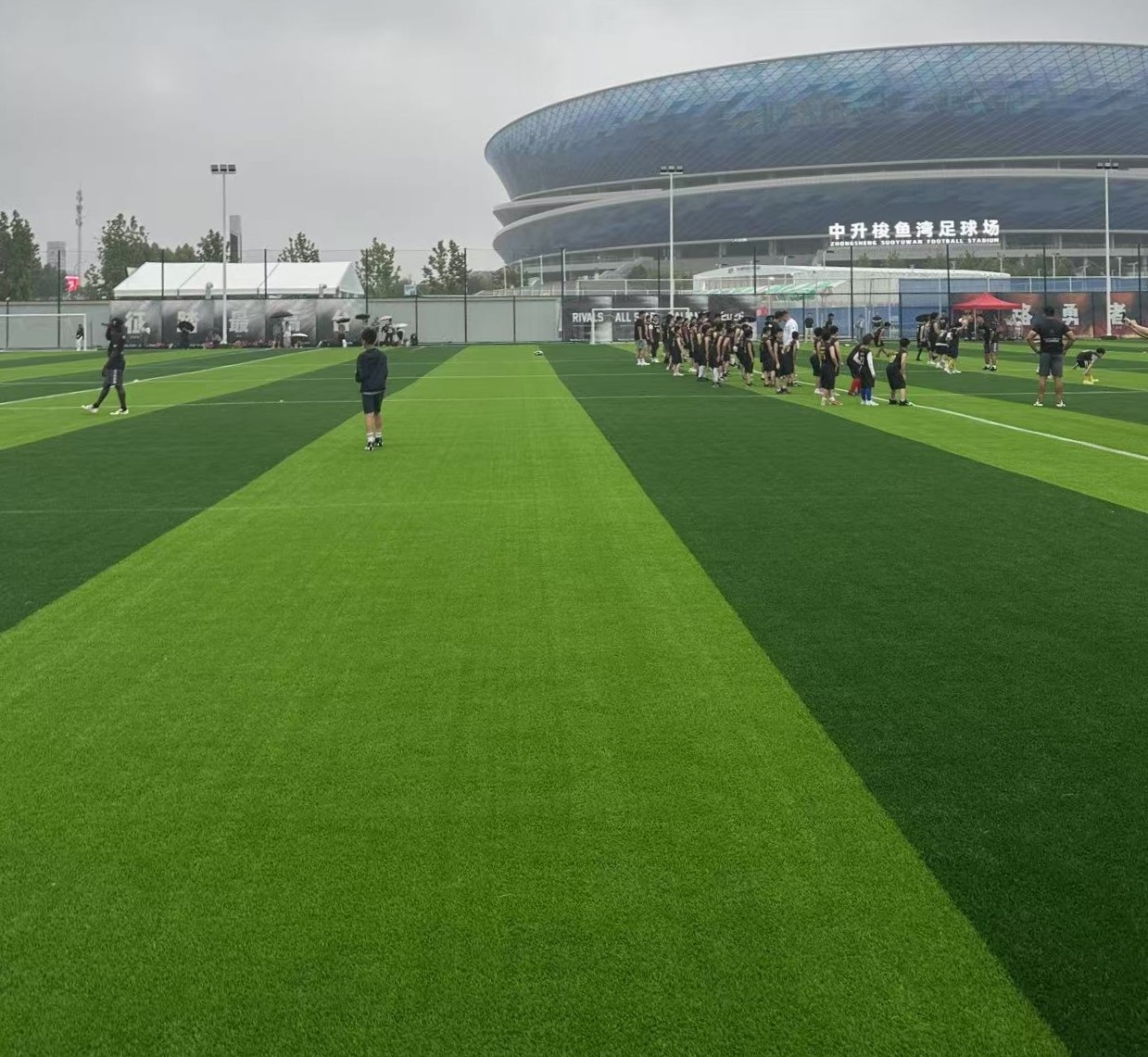 football training banner